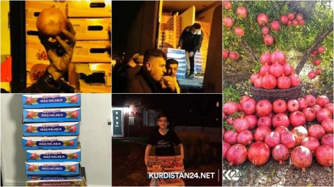 للمرة الأولى.. رمان حلبجة يصل بريطانيا ومساعٍ لتصديره إلى فرنسا